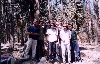 En el bosque