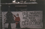 Pascua 99